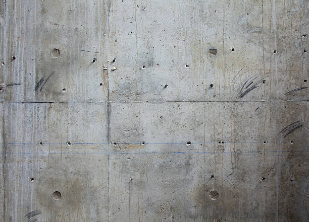 Best Concrete Foundation Repair  in Dahlone, GA
